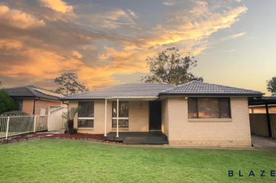 63 Helicia Road, Macquarie Fields, NSW, 2564