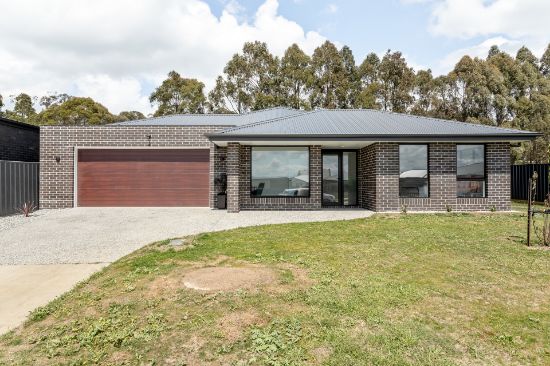65 Parkfield Drive, Youngtown, Tas 7249