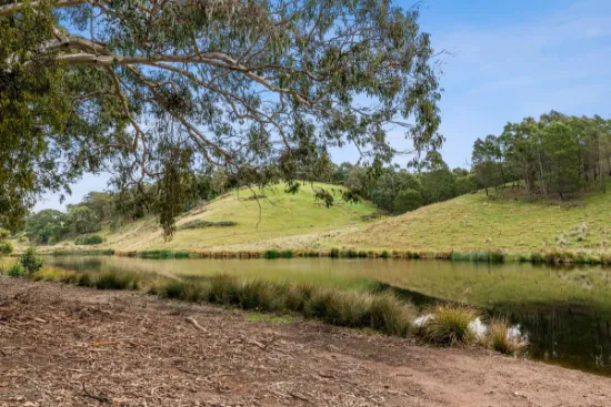 650 De Motts Road, Anakie, VIC, 3213