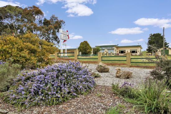 651 Snowy Mountains Highway, Pine Valley, NSW 2630