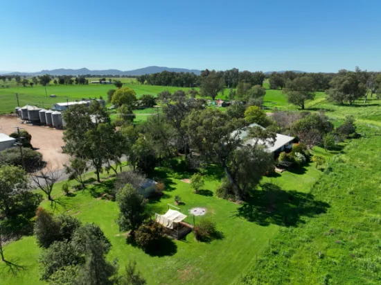 66 Peppergrove Lane, Gunnedah, NSW, 2380