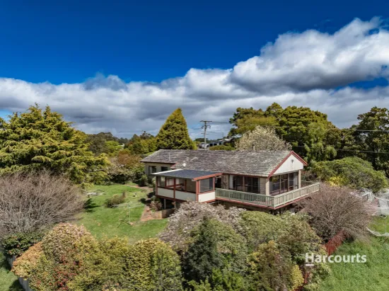 663 Ridgley Highway, Ridgley, TAS, 7321