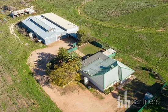 693 Thiele Road, Loveday, SA, 5345