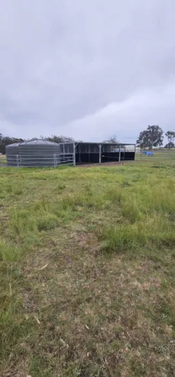 694 Sunnyside Loop Road, Tenterfield, NSW, 2372