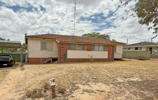 7 Korralling Way, Wongan Hills, WA 6603