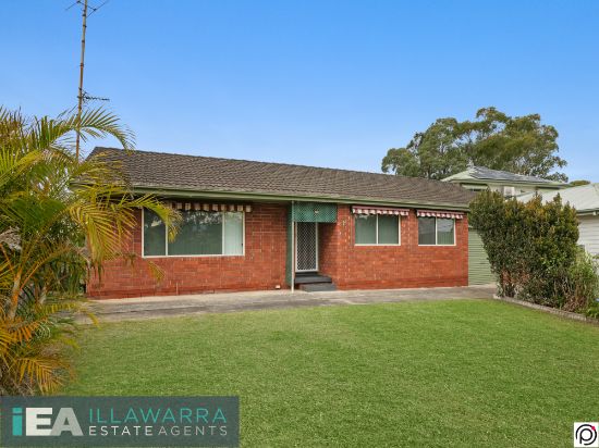 7 Paterson Place, Barrack Heights, NSW 2528