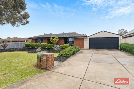 7 Robinson Road, Willaston, SA, 5118