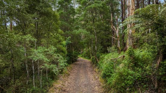 700 Old Beech Forest Road, Beech Forest, Vic 3237