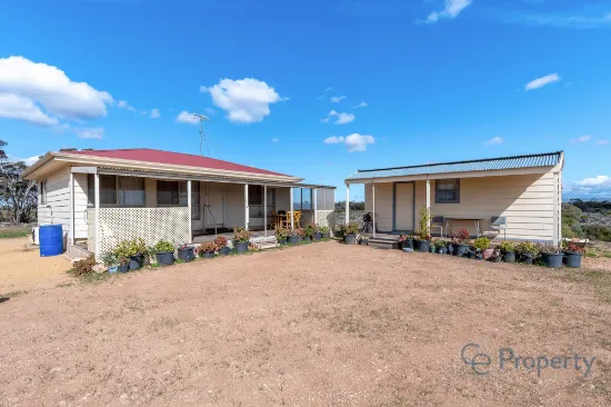 702 Sperling Road, Sandleton, SA, 5356