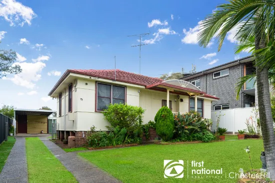 77 Priam Street, Chester Hill, NSW, 2162