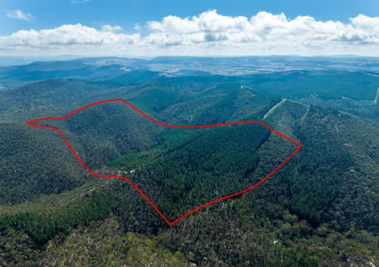 771 Greywacke Road, Twenty Forests, NSW, 2795