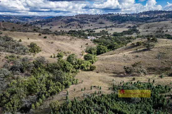 782 Yarrabin Road, Yarrabin, NSW, 2850