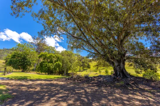 792 Mooral Creek Road, Strathcedar, NSW, 2429