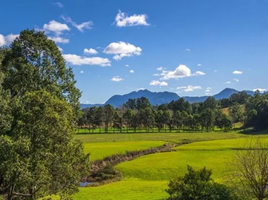 8 Hobson Cl, Bellingen, NSW, 2454