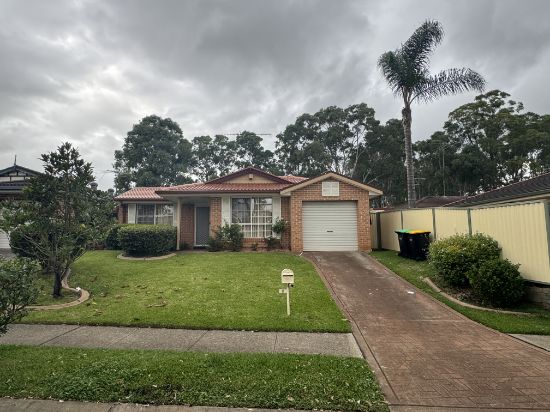 8 Olympus Drive, St Clair, NSW 2759