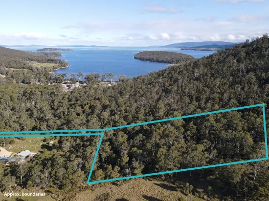 80 Lowes Road, Garden Island Creek, TAS, 7112