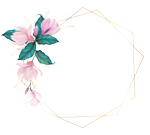 Real Estate Agency Magnolia May Property