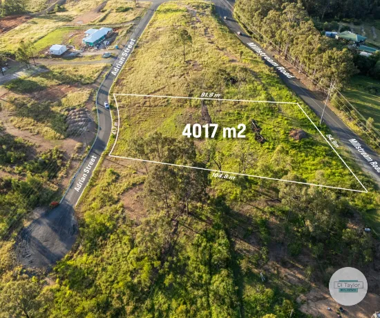 84 Adrian Street, Cedar Vale, QLD, 4285