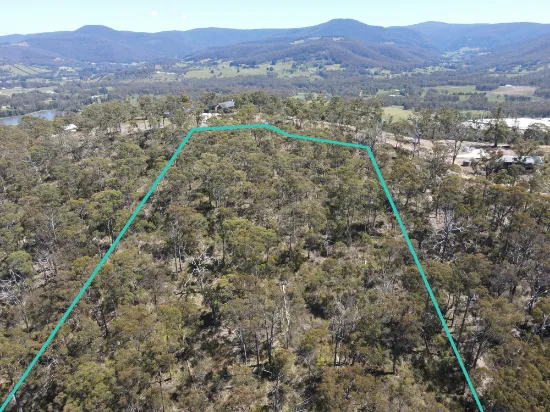 9 Bull Oak Way, Grove, TAS, 7109