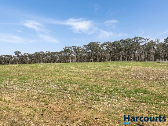 90 Miners Hut Road, Smythesdale, Vic 3351