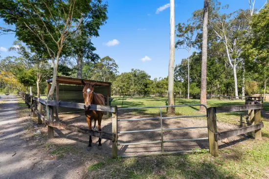 92 Hardwood Road, Landsborough, QLD, 4550