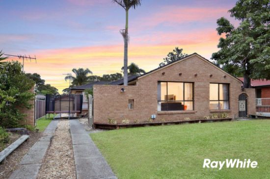 97 Tallagandra Drive, Quakers Hill, NSW 2763