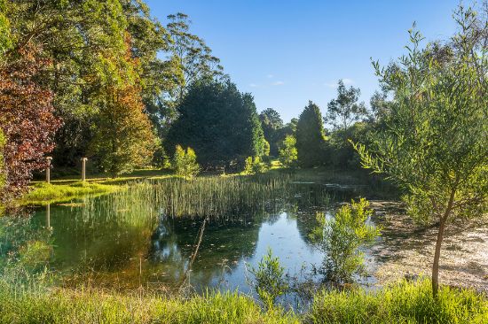 98 Rotherwood Road, Wildes Meadow, NSW 2577