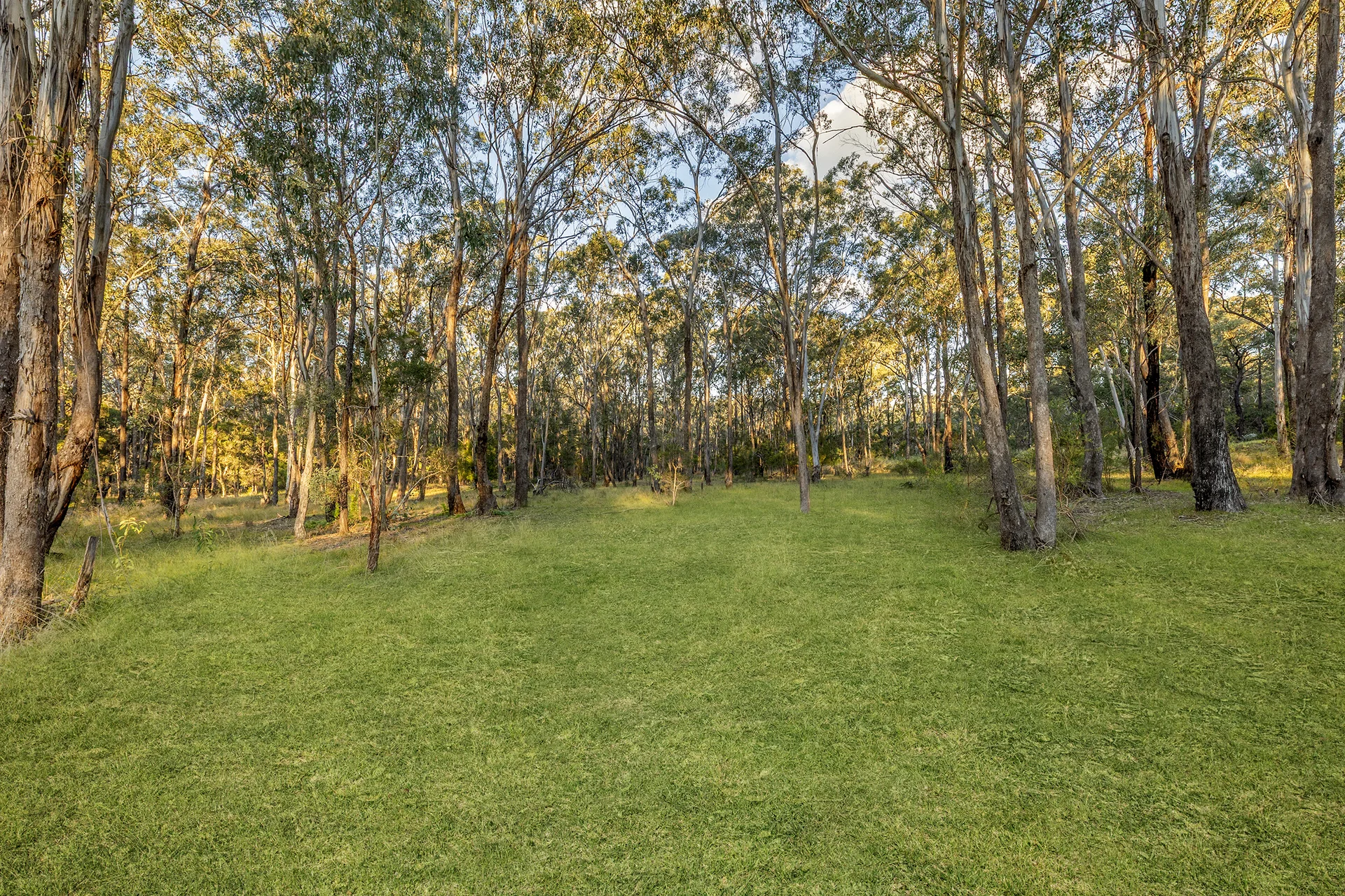 15 Avondale Road, Pitt Town, NSW 2756