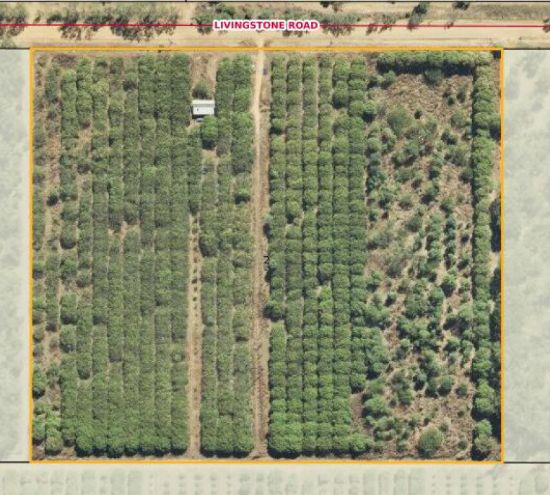 815 Livingstone Road, Berry Springs, NT 0838