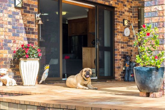 87 Stokers Road, Stokers Siding, NSW 2484