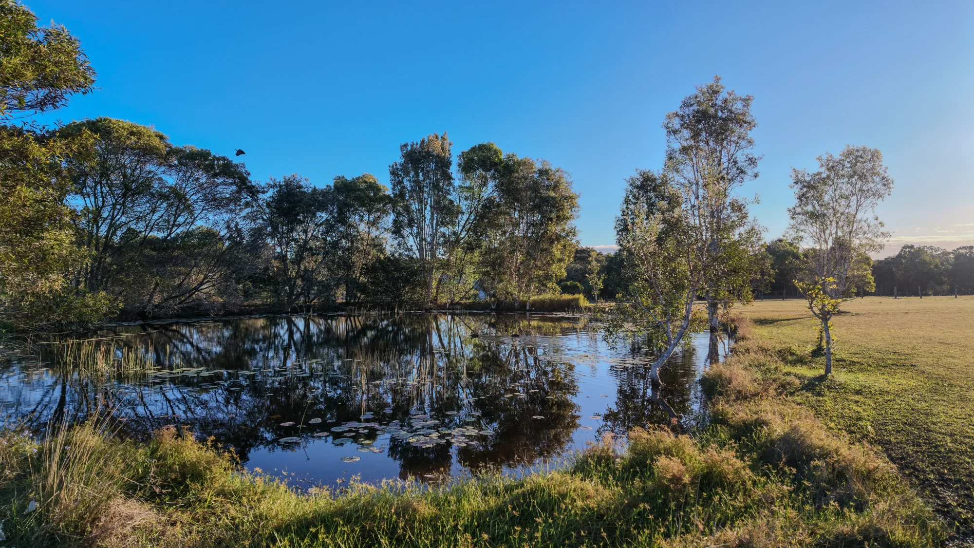 9A Amaroo Place, Cooroibah, Qld 4565