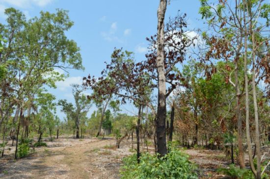 Address available on request, Darwin River, NT 0841