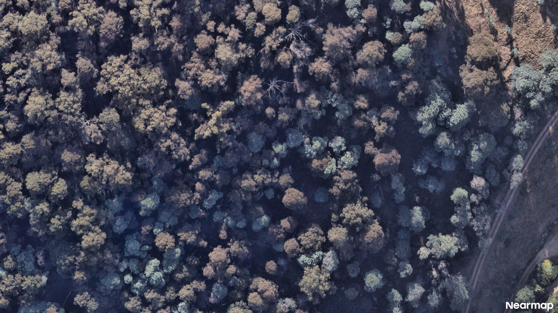 Vertical aerial view