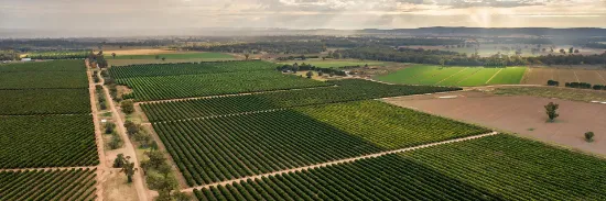 Agri Rural NSW/Sydney - Cowra  - Real Estate Agency
