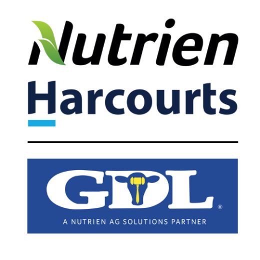 Andrew McCallum - Real Estate Agent at Nutrien Harcourts GDL - Toowoomba