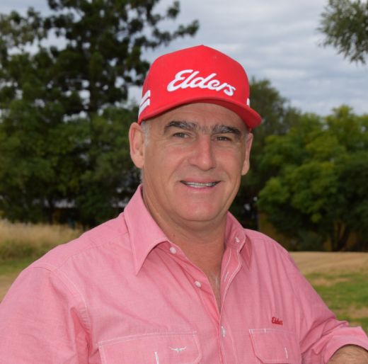 Andrew Thomson - Real Estate Agent at Elders Rural  - QLD Sth