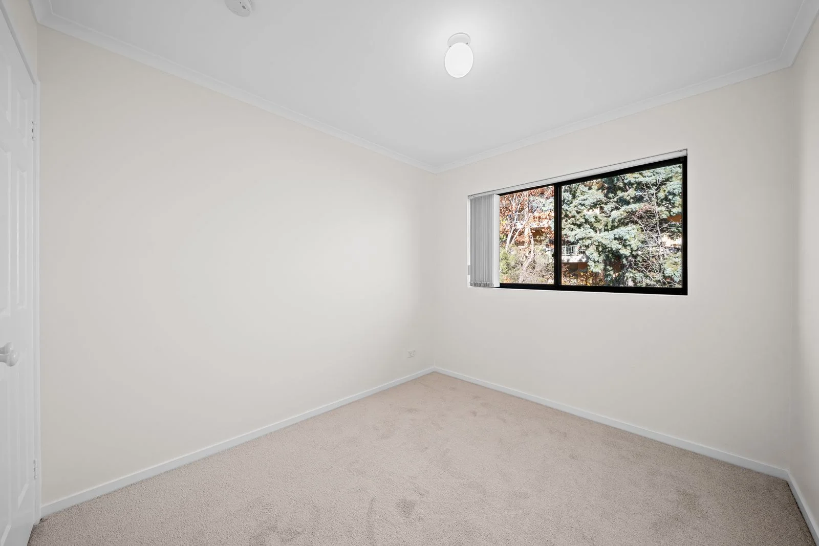14/10 Ovens Street, Griffith, ACT 2603