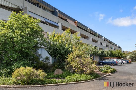 16/4 Wilkins Street, Mawson, ACT 2607