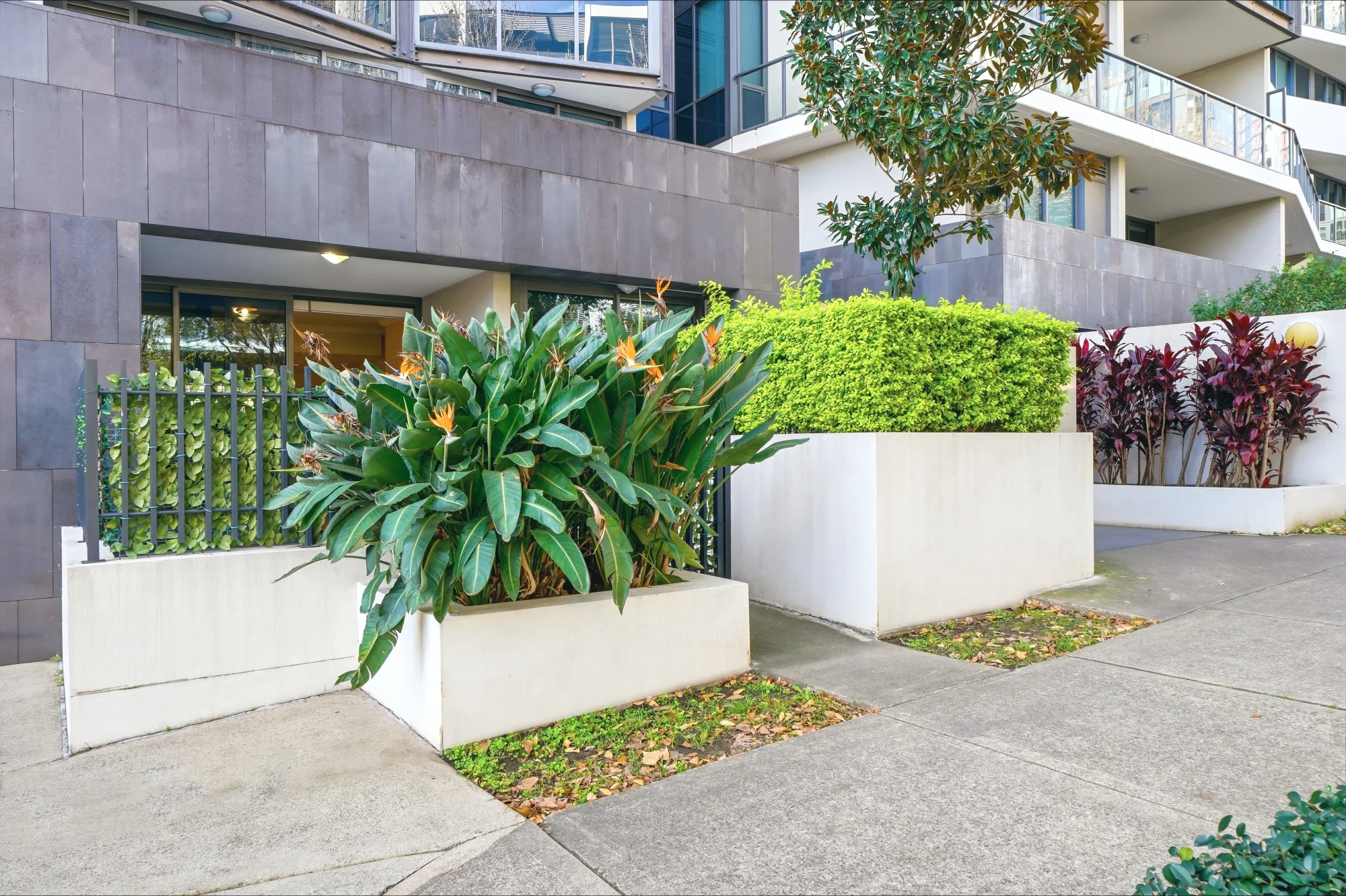 203/1 Footbridge Boulevard, Wentworth Point, NSW 2127