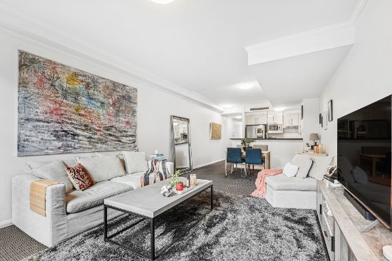 253/10 Lachlan Street, Waterloo, NSW 2017