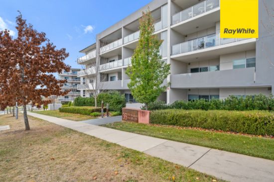 257/36 Philip Hodgins Street, Wright, ACT 2611