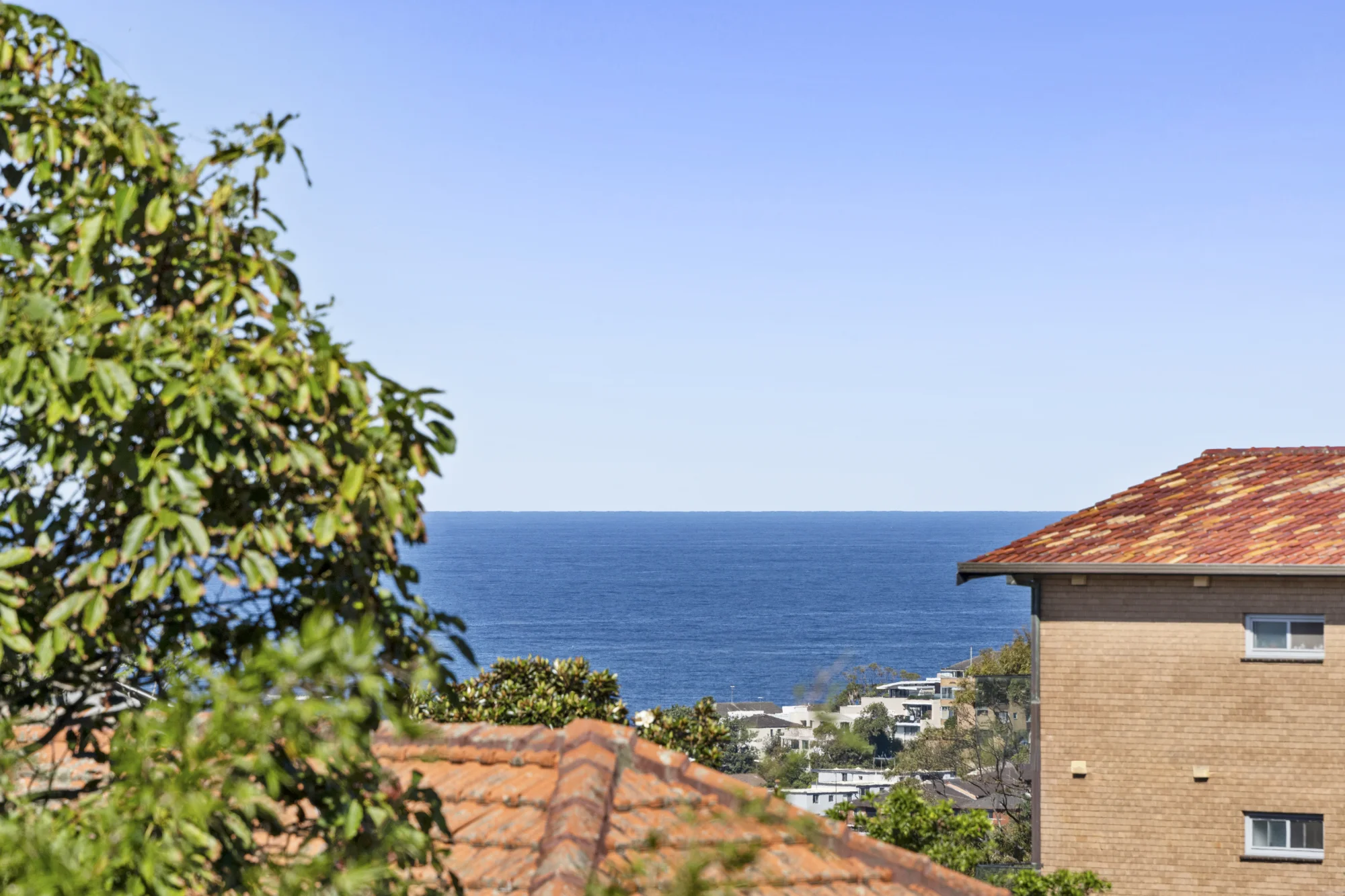 3/29 Macpherson Street, Waverley, NSW 2024