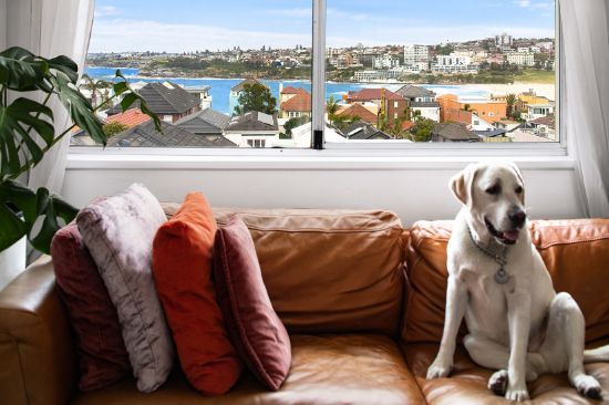 3/4 Military Road, North Bondi, NSW 2026