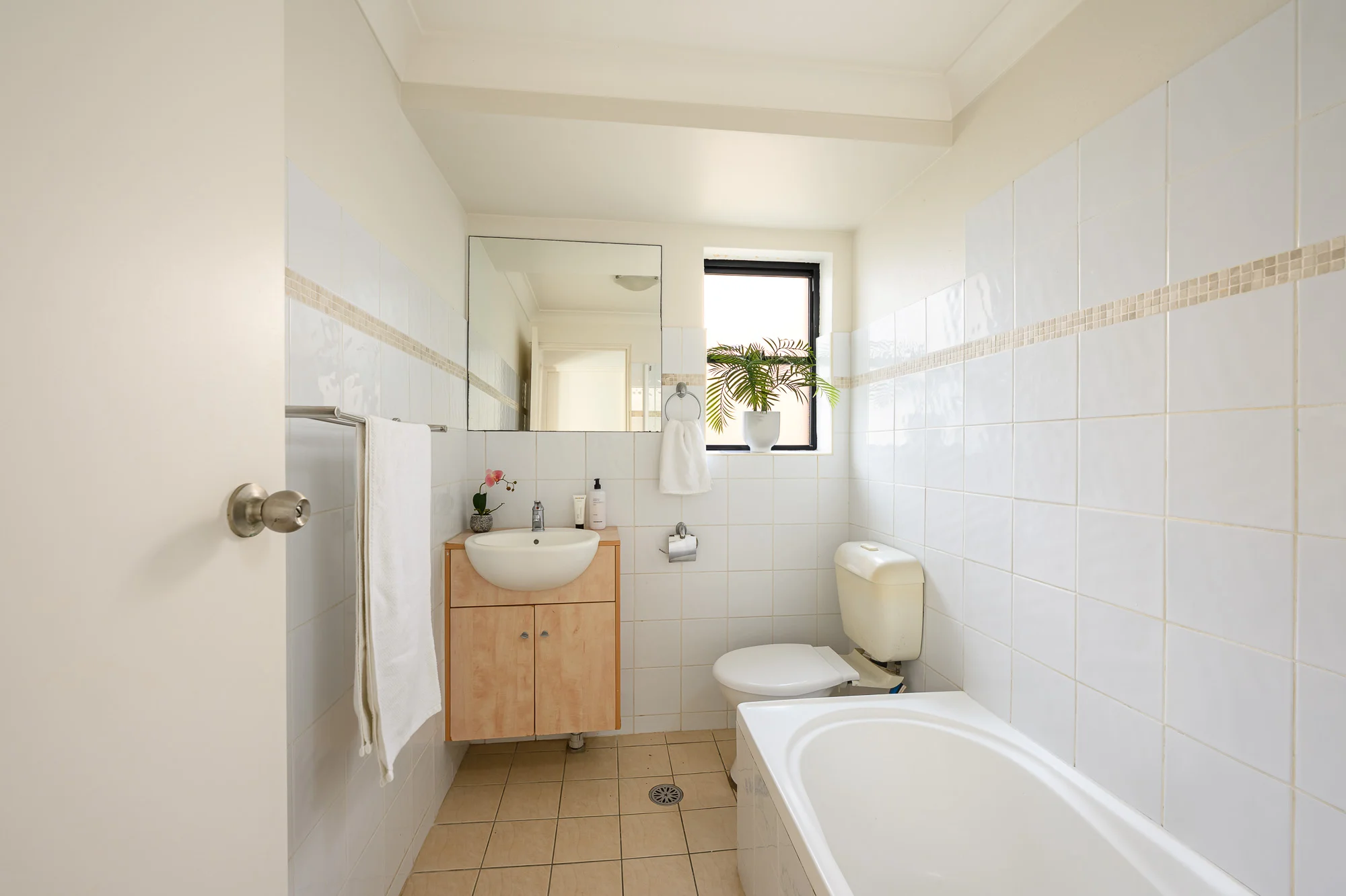 3/56 Cambridge Street, Stanmore, NSW 2048