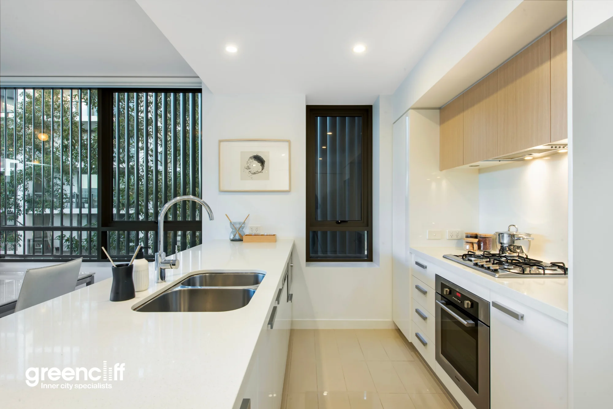 302S/2 Lardelli Drive, Ryde, NSW 2112