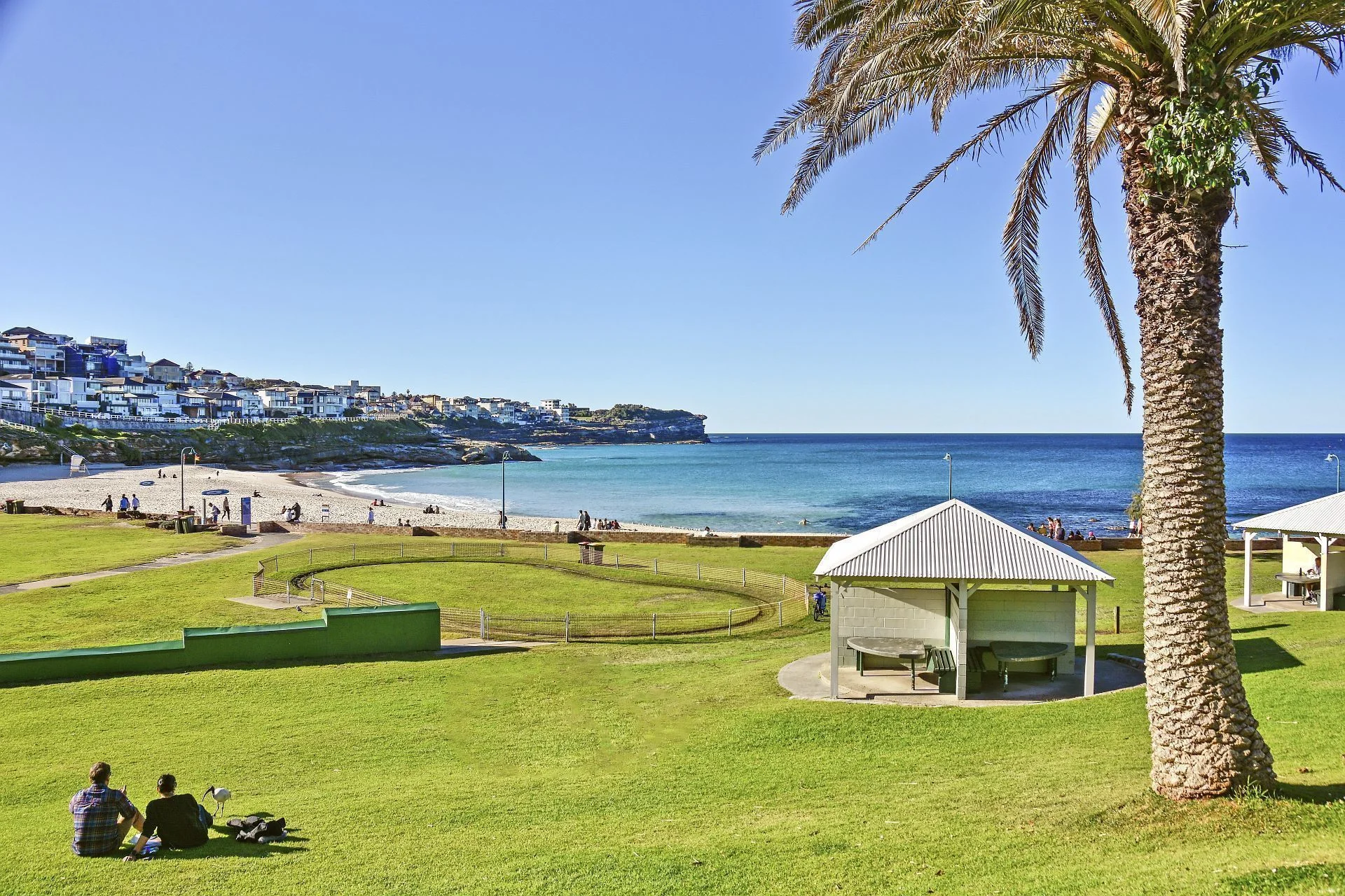 493a Bronte Road, Bronte, NSW 2024