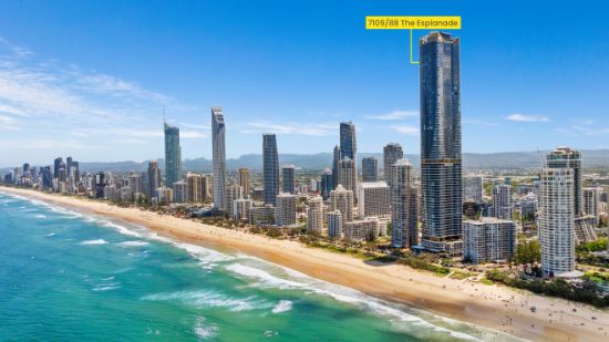 7109/88 The Esplanade, Surfers Paradise, Qld 4217