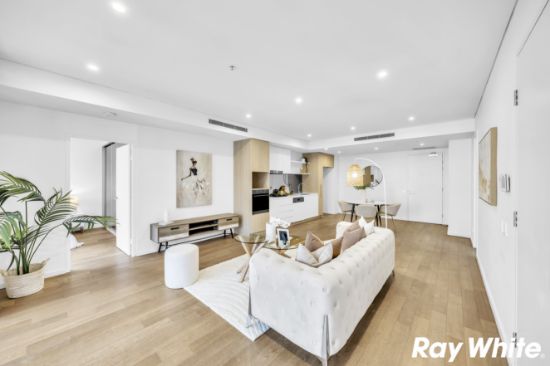 713B/2 Muller Lane, Mascot, NSW 2020