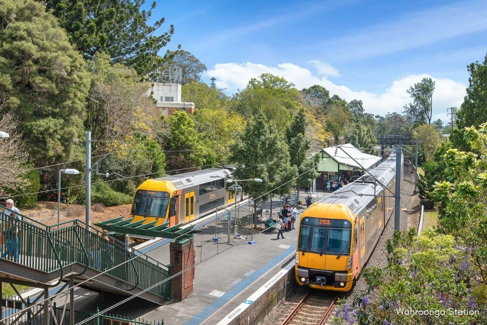 8/6 Coonanbarra Road, Wahroonga, NSW 2076