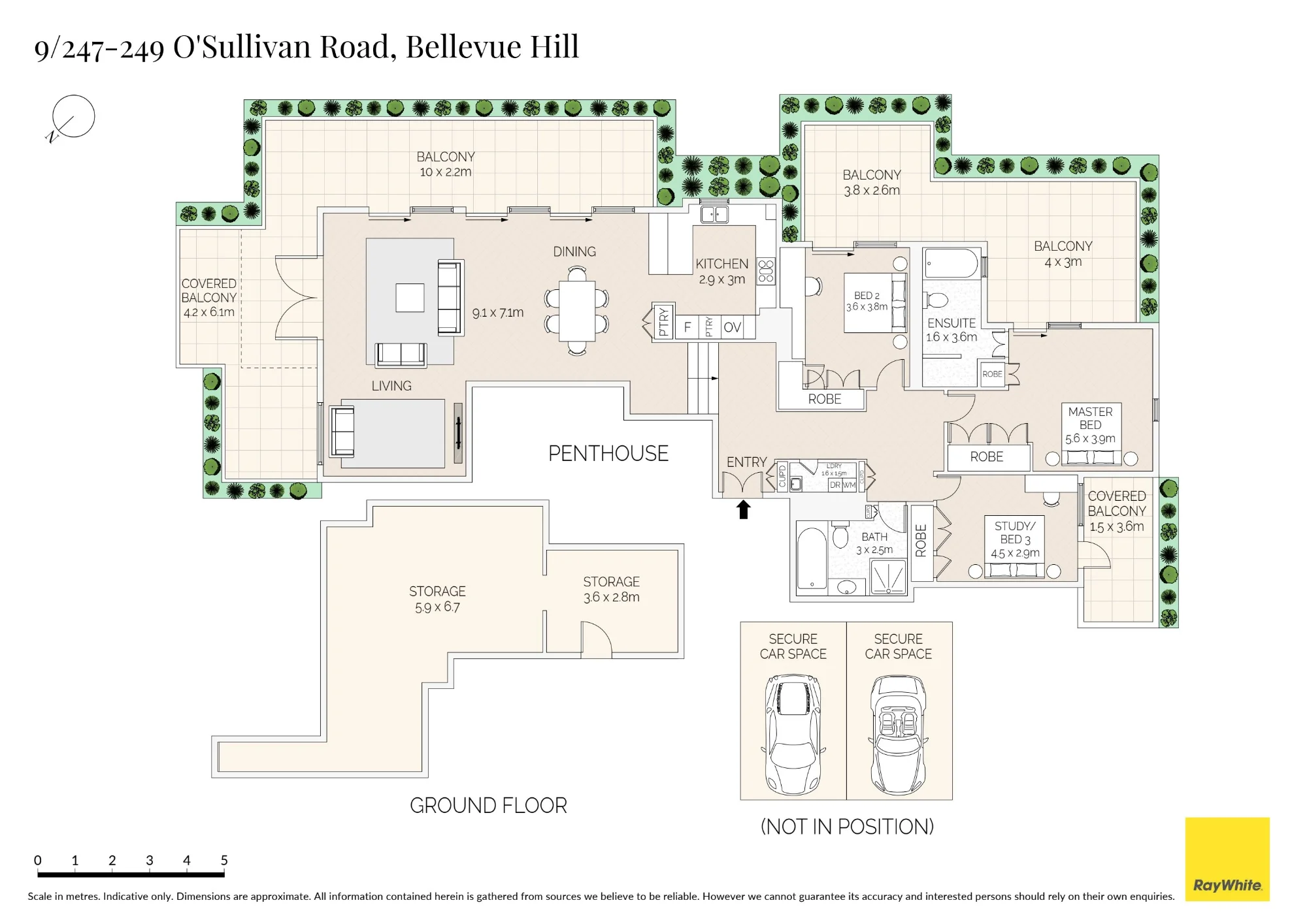 9/247-249 O'sullivan Road, Bellevue Hill NSW 2023